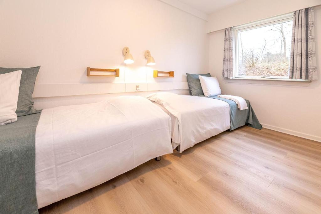 Two-Bedroom Apartment (4 Adults)