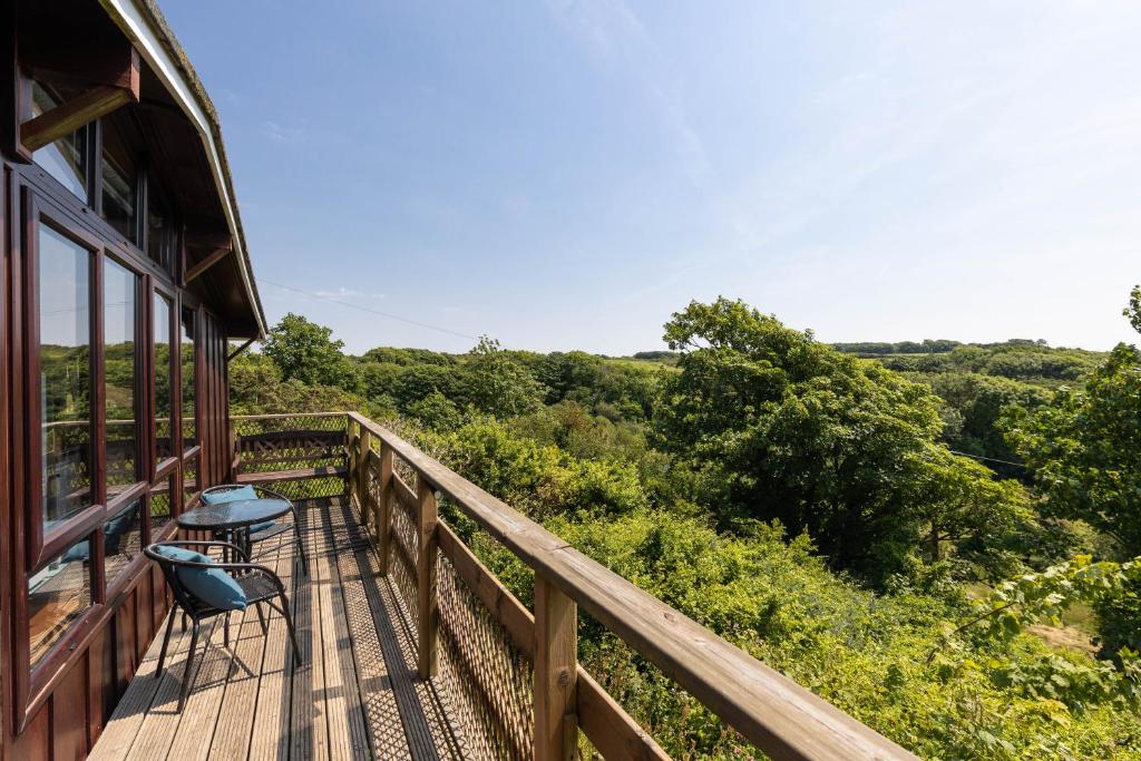 Coastal cabin, spectacular views, doorstep woodland walks, sea 5 mins, Pembrokeshire