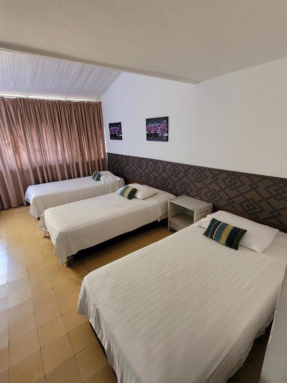 Hotel Gimaura - 3