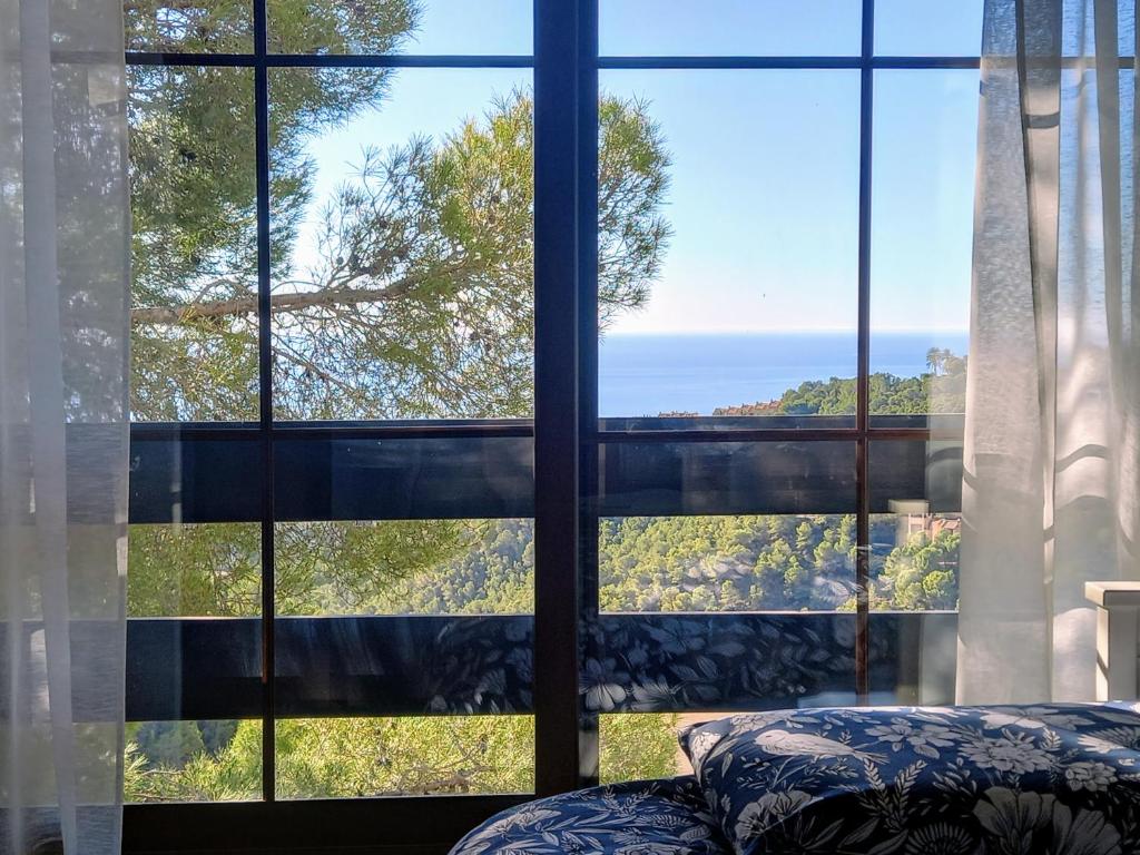 Altea Olivos G - 4