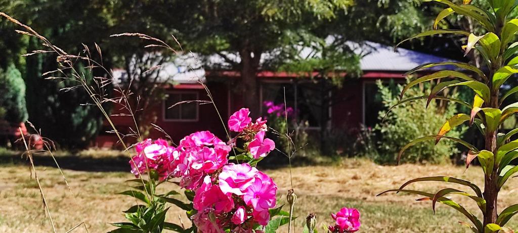 Hermosa casa, full naturaleza a minutos de Villarrica - 1