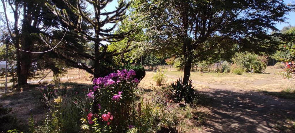 Hermosa casa, full naturaleza a minutos de Villarrica - 5