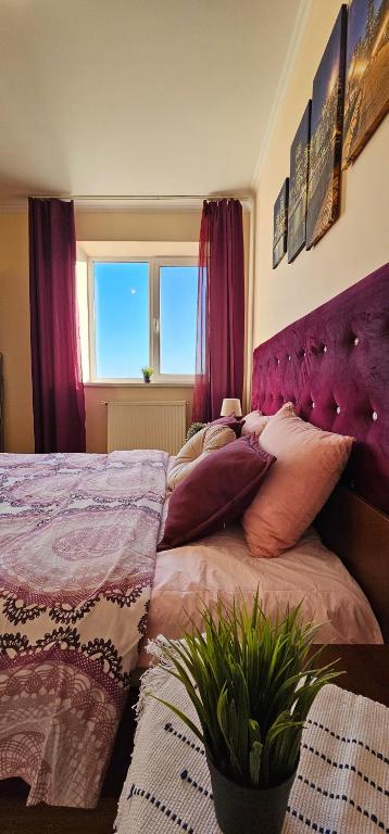 Best Two Room Apartment, Mukačevo