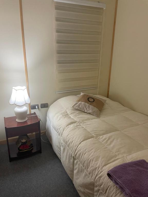 Cabañas Porvenir Tierra del Fuego - 5