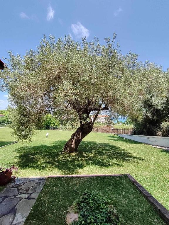 O&A Sea View, Polychrono