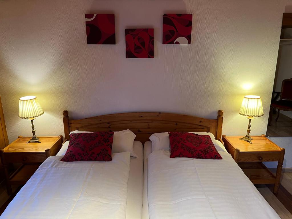 Historic Hotel Steinbock - 2