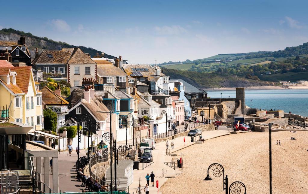 Gorgeous Boutique Flat, Lyme Regis photo 6
