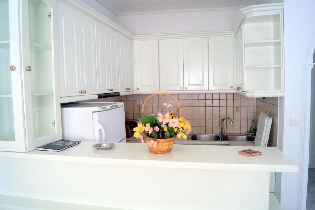 Kitchen, Maria & Kyros House in Parga