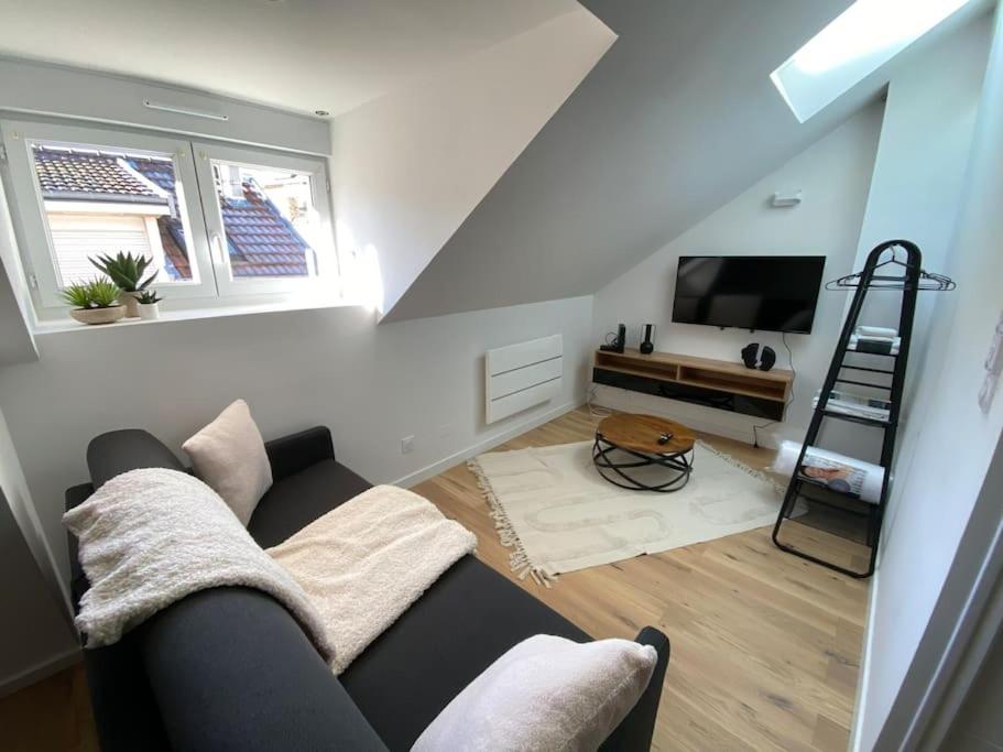 Appartement - Le cocon Rémois, Remeš