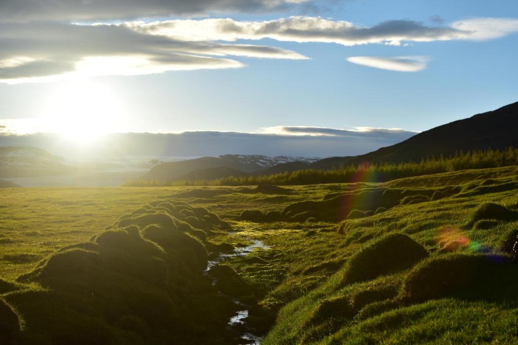 Surrounding environment