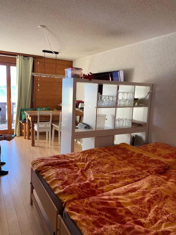 "Le Ptit Nid" studio avec vue à couper le souffle à Leysin ! - 4