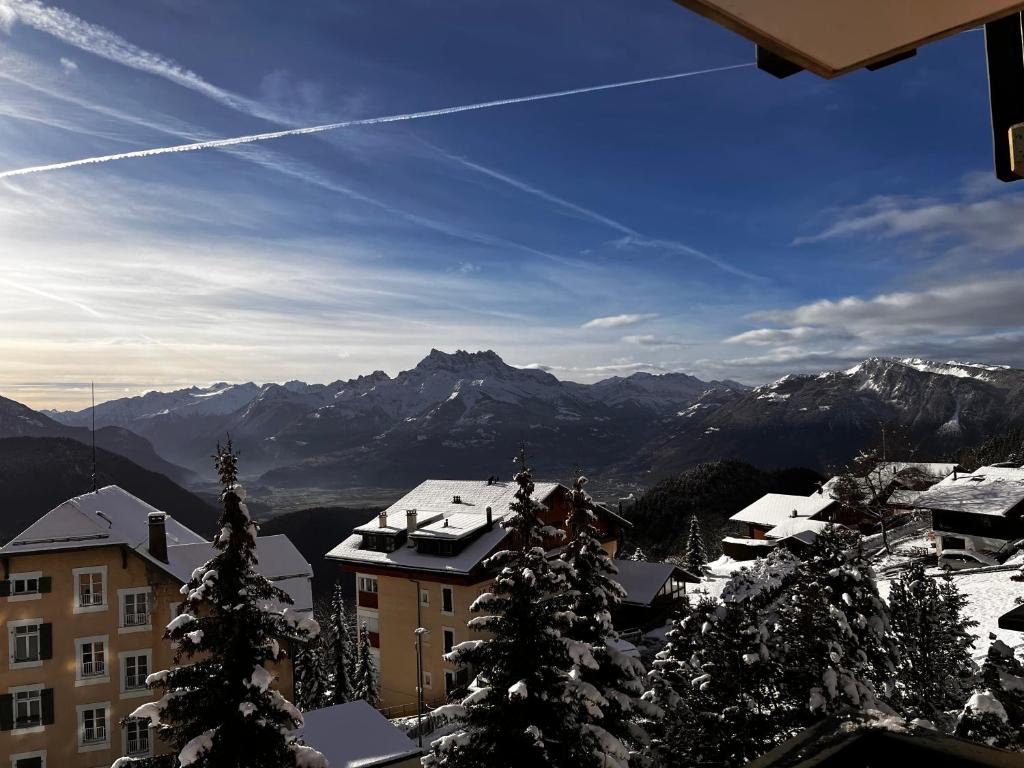 "Le Ptit Nid" studio avec vue à couper le souffle à Leysin ! - 2