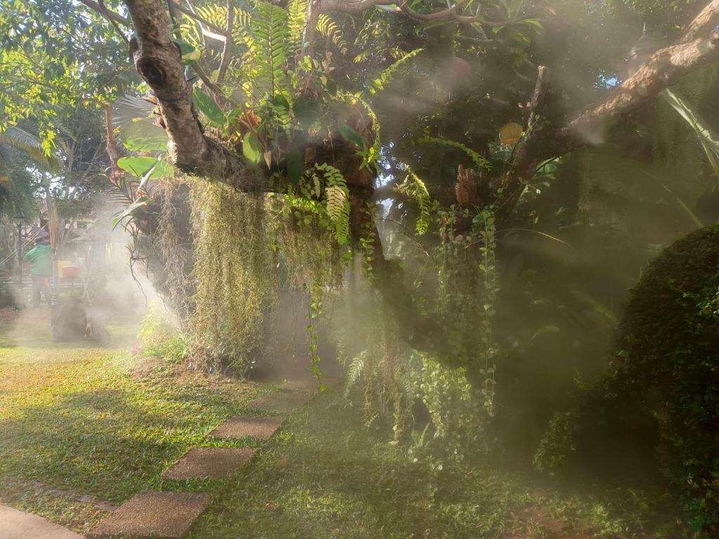 Surrounding environment