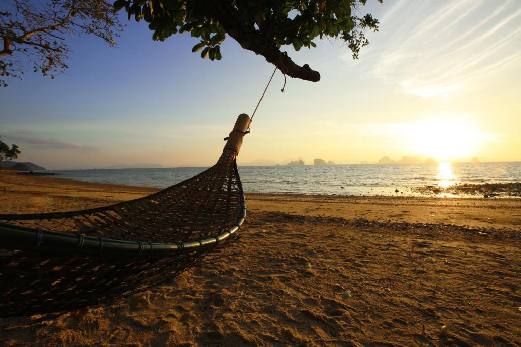 Niramaya Villa & Wellness Resort photo