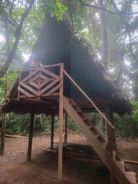 Madre Selva - 4