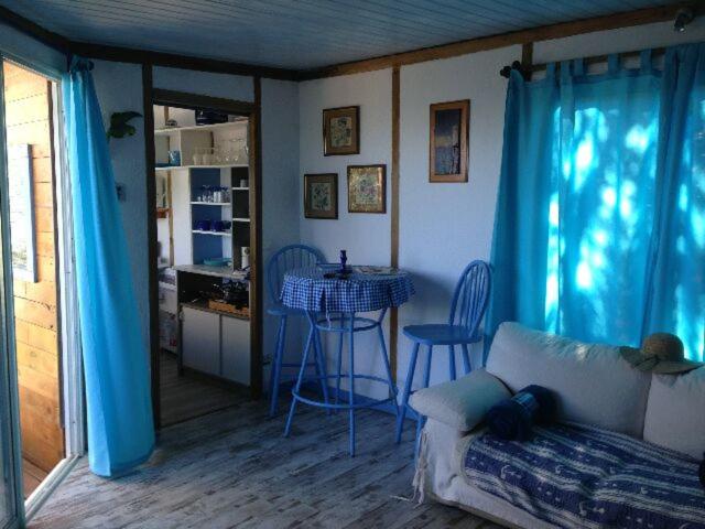 L'oiseau BLEU à CALVI - 3