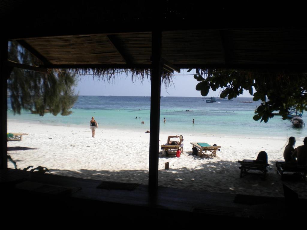 View