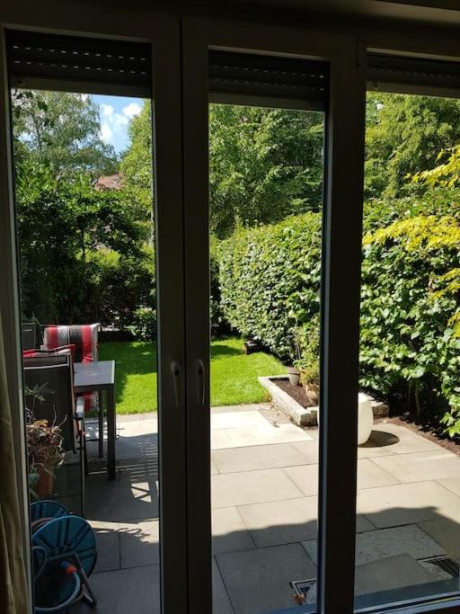 3Zimmer in HHZentrum mit Garten