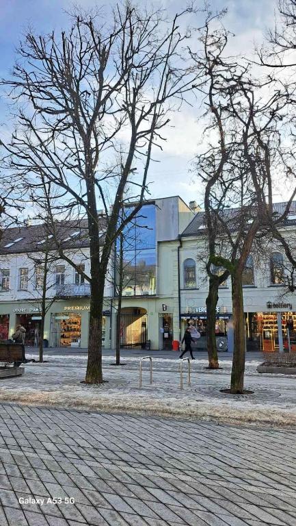 KaunasInn LA, Kaunas