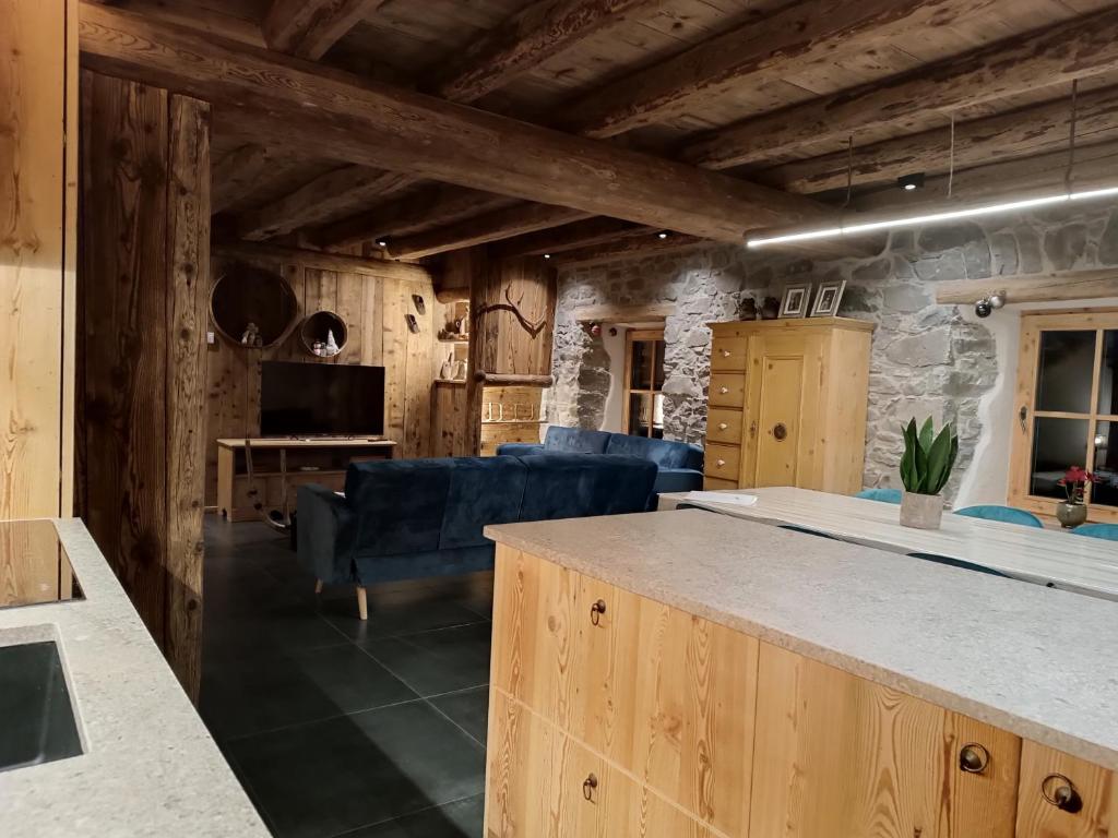 Brand new Duplex in the Dolomites - Picchio Rosso - 2