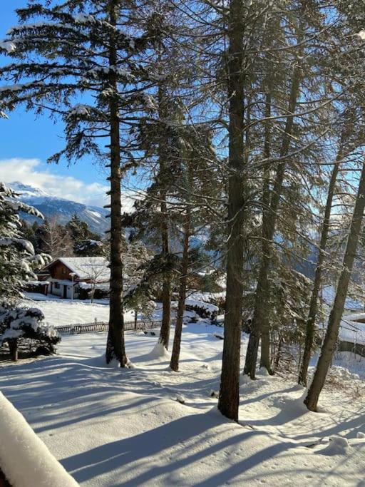 Chalet Privé avec vue imprenable sur les alpes - 3
