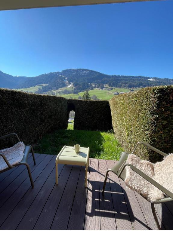 Charming studio with terrace and garden, Praz-sur-Arly
