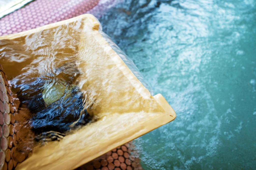 Hot spring bath