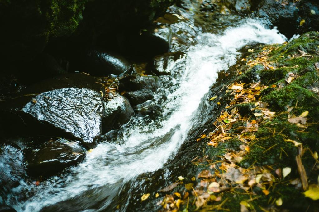 Surrounding environment