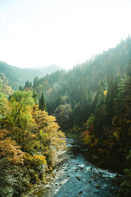 Surrounding environment