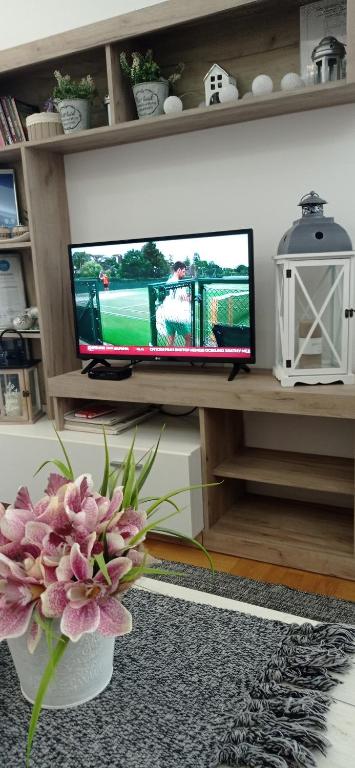 Apartman Harmonija Vrnjačka Banja - 4