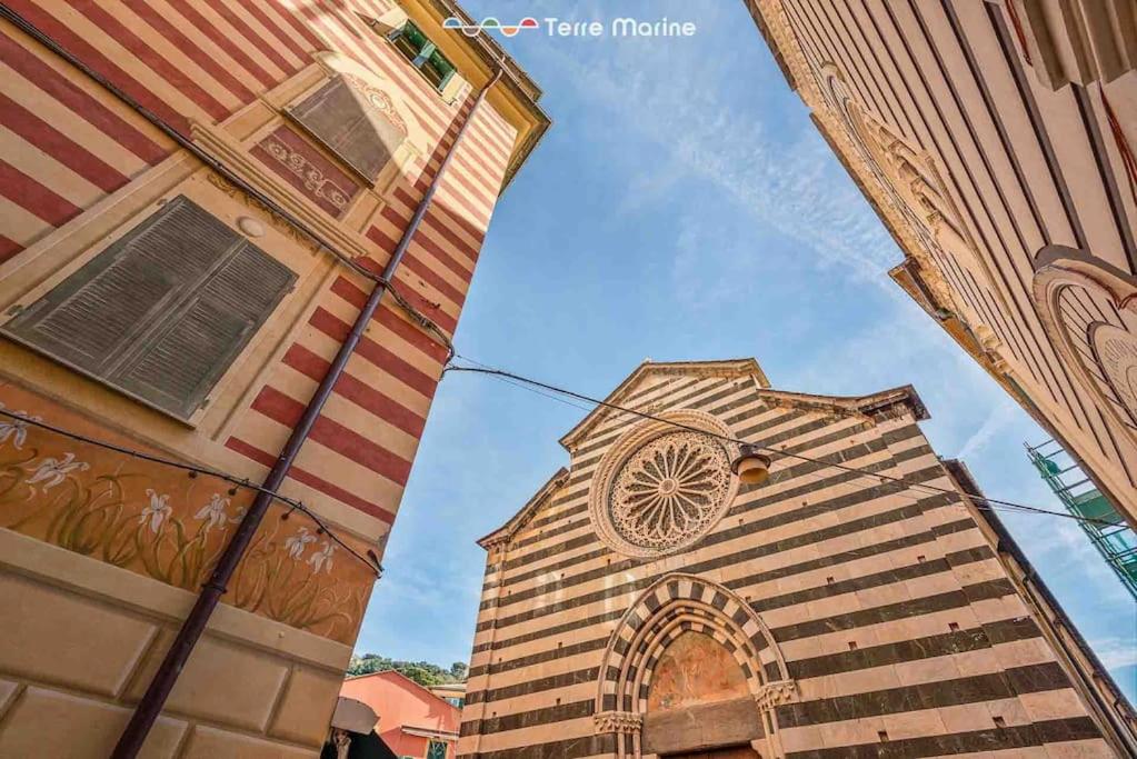 Basilico e Papaja, Terre Marine - 5