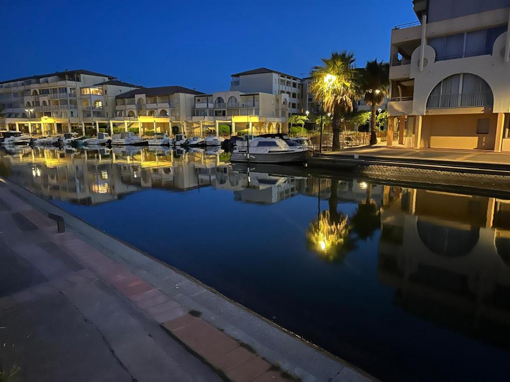Marina des quilles magnifiqueT2 avec terrasse - 5