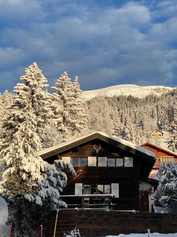 Chalet atypique Colorado Crans-Montana - 2
