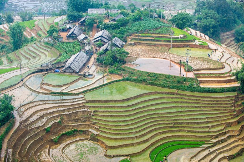 Surrounding environment