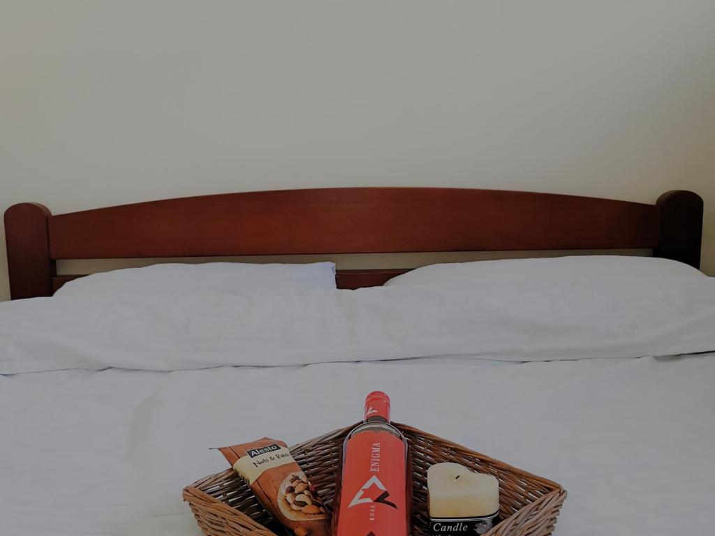 Apartman Snezanka Kopaonik - 3