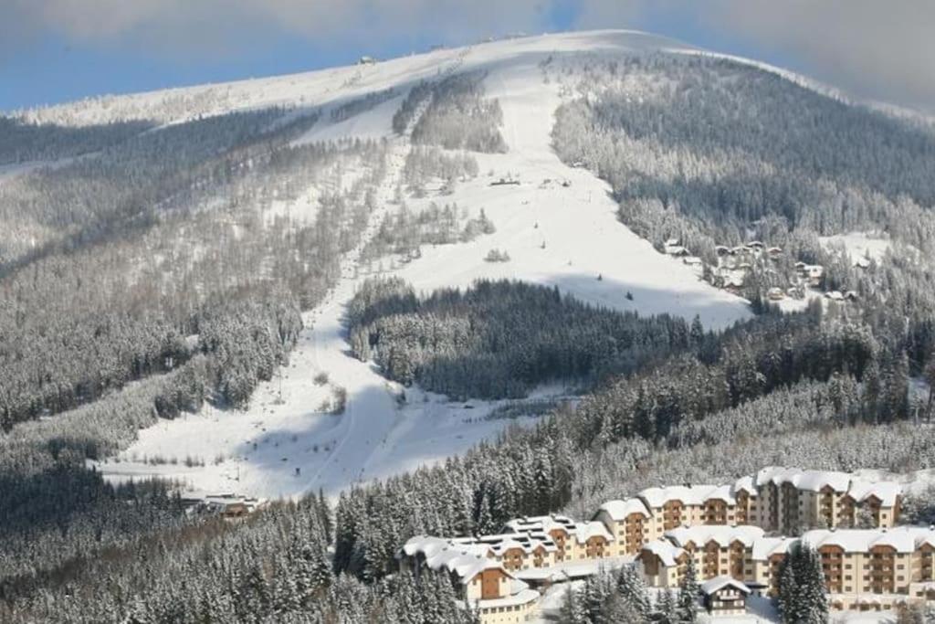 Atemberaubende Aussicht, direkter Pistenzugang - 4
