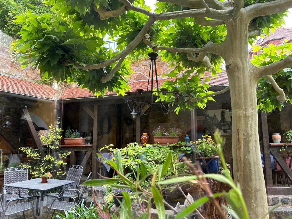 Alte Gerberei 전경