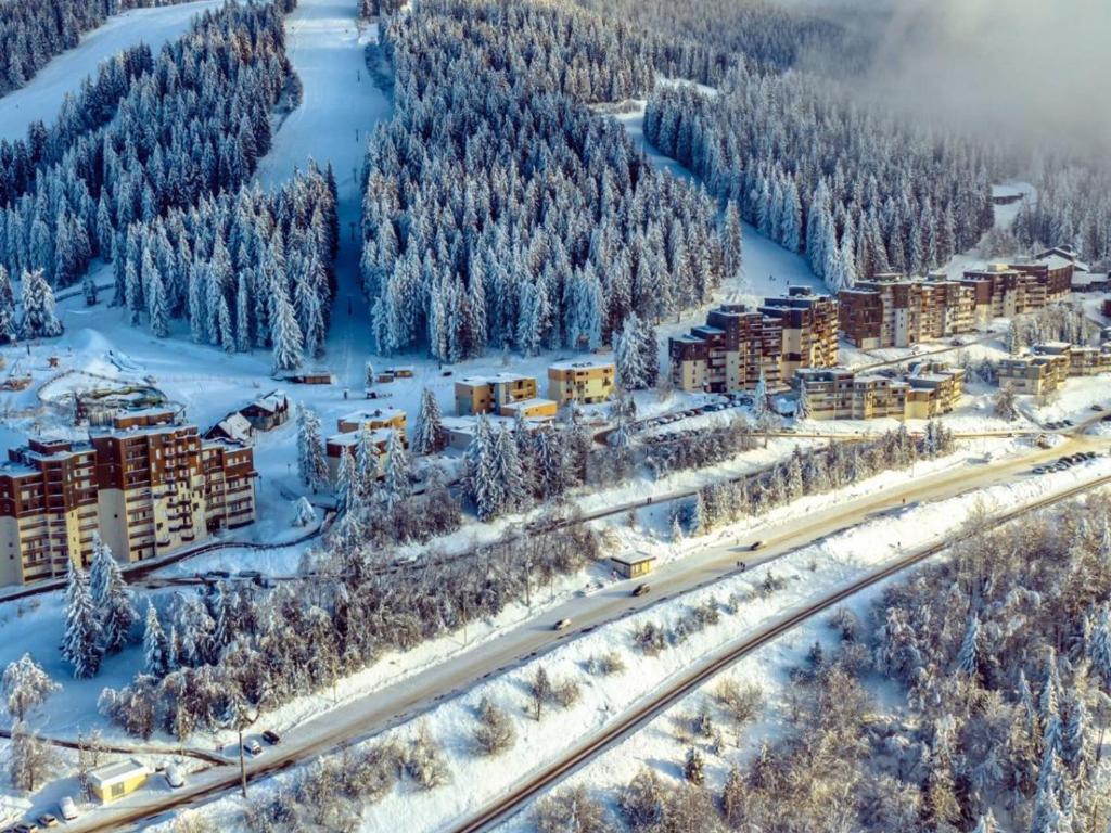 Studio cabine skis aux pieds, balcon, centre station - 4