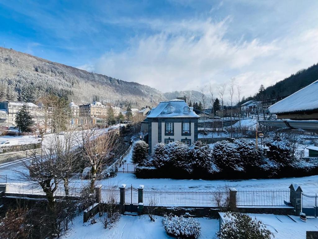 Charmant T3 au Mont-Dore, jusqu'à 4 pers, wifi, vue Puy Gros - FR-1-608-265 - 2