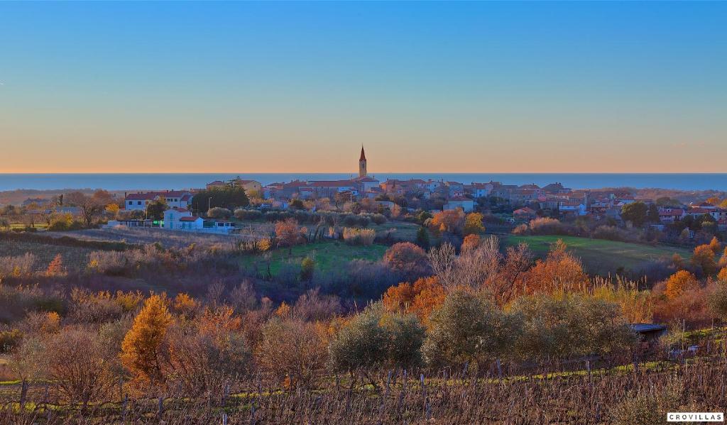Terra Biancha, Brtonigla