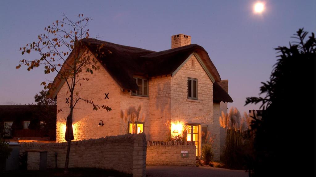 Moorhens, Somerford Keynes