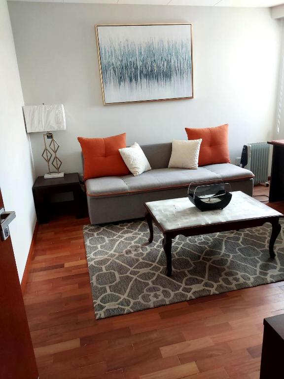 Hermoso cómodo departamento 2D - 4