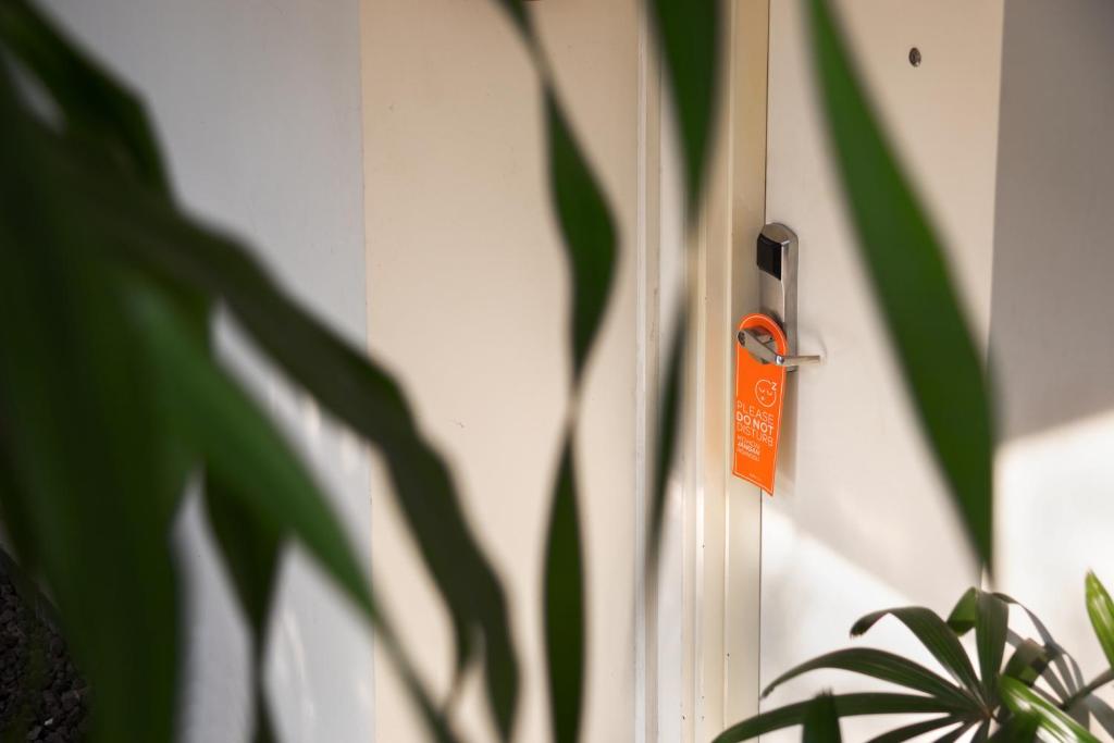 ทัศนียภาพภายนอกโรงแรม