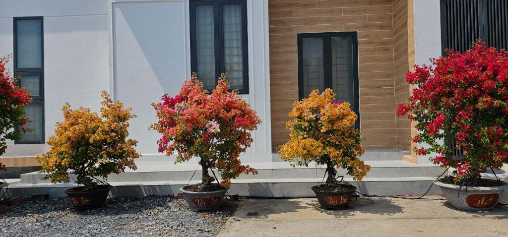 Nhà nghỉ Trúc Mây