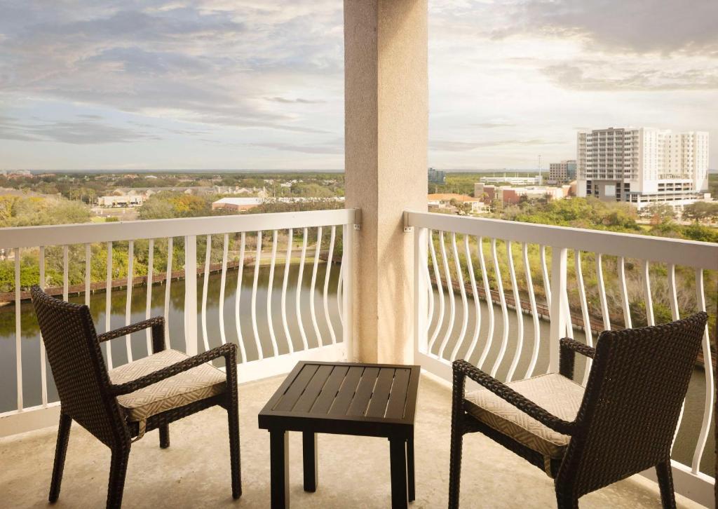 Hilton St. Petersburg Carillon Park 호텔 이미지 1