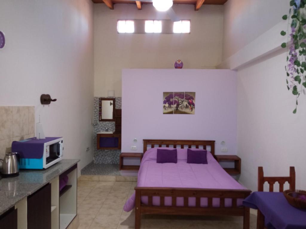 Violeta Monoambiente - 1