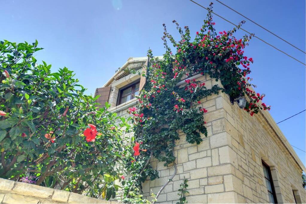 Studio Petrino - A holiday nest!, Velianitátika