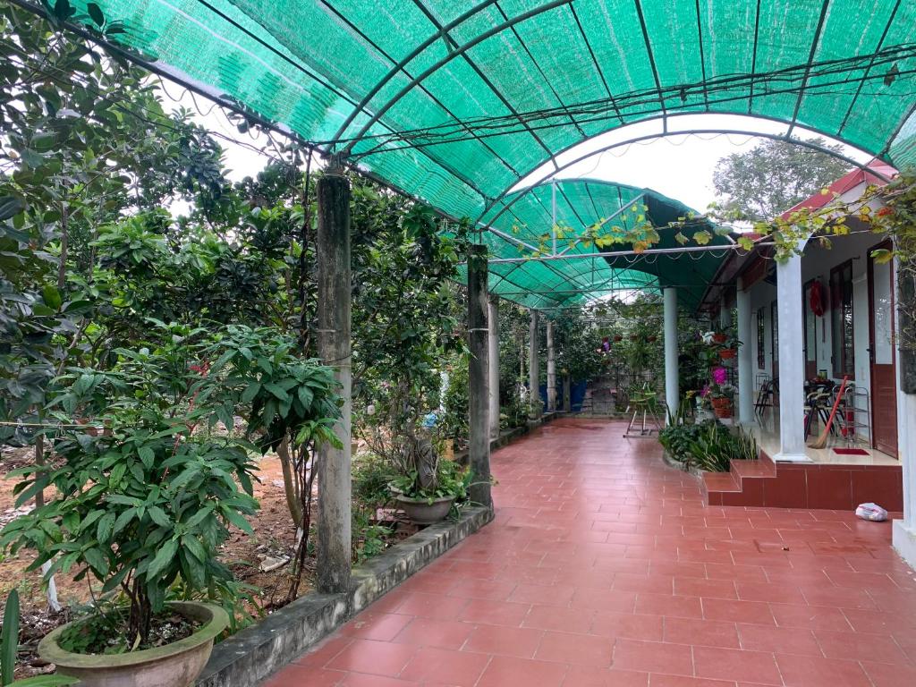 Tre Xanh Homestay