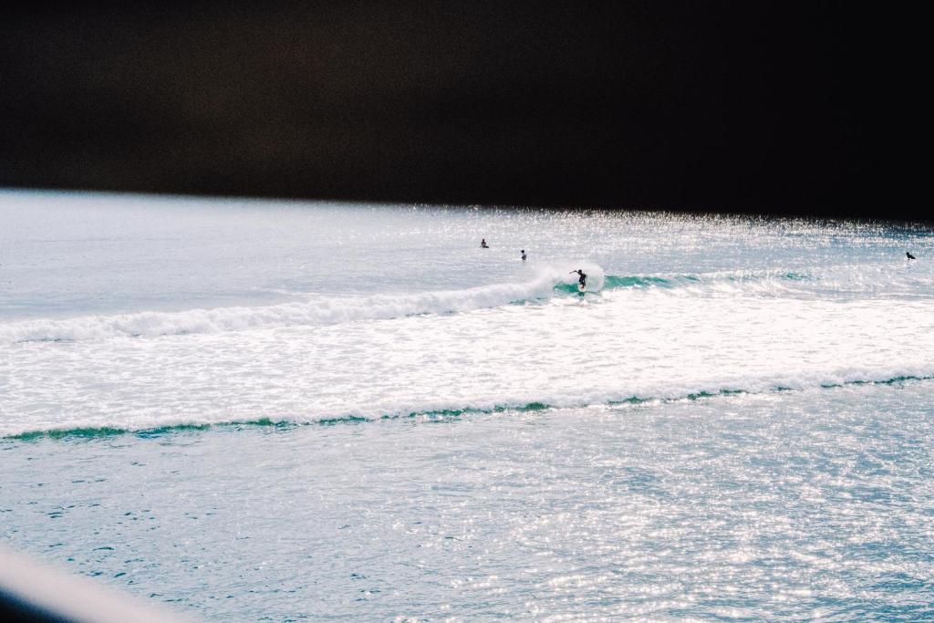 ボンボラ メデウィ - img