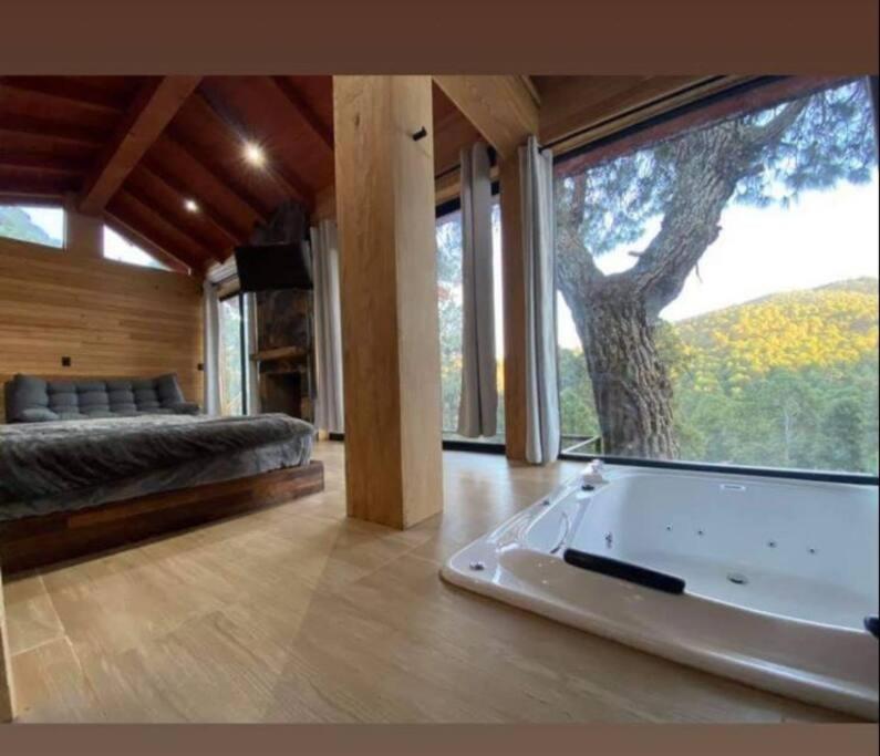 Suite Paulette - 1